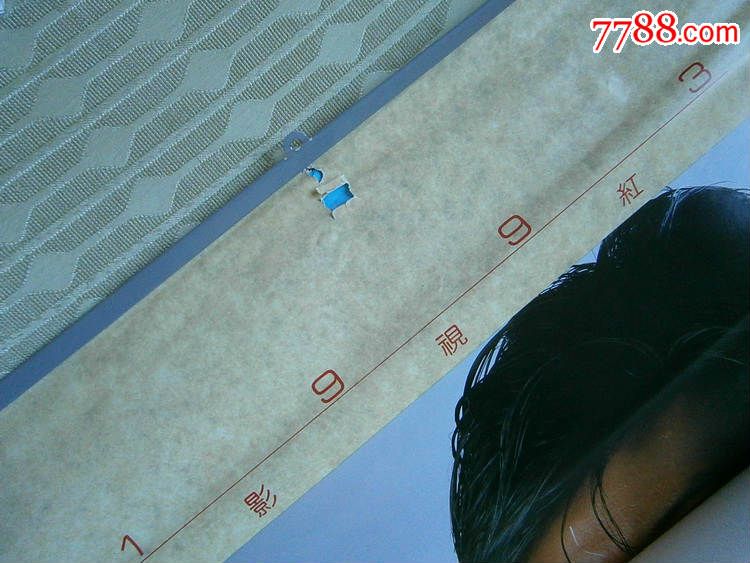 1993年歌影视红星