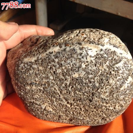 天然黄河石精品【蜂窝之美】_价格98元_第1张_7788收藏__收藏热线