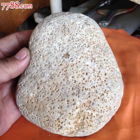 天然蜂窝石精品_价格88元_第1张_7788收藏__收藏热线