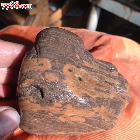 天然极品木纹石精品【极致木纹】-价格:88元-se34494353-其他奇石
