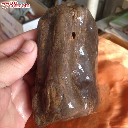天然极品木化石
