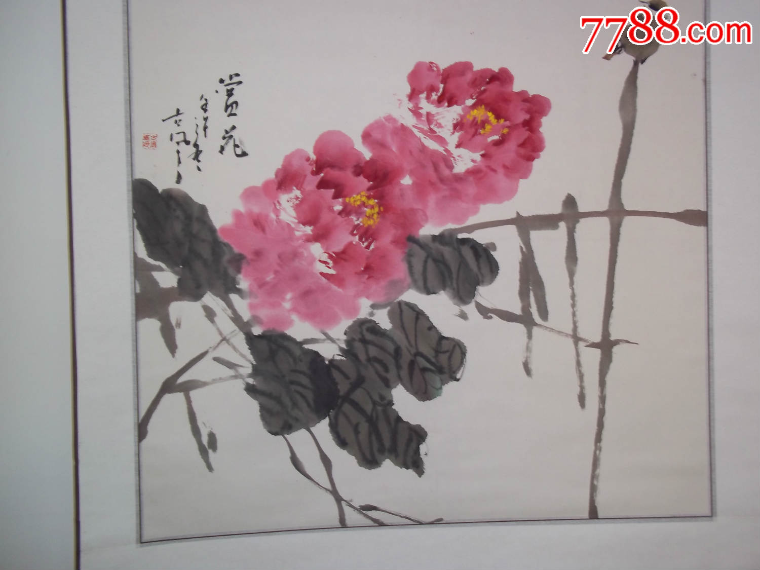 国画牡丹_价格680元_第1张_7788收藏__收藏热线