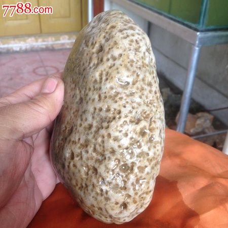 天然玉化蜂窝奇石精品