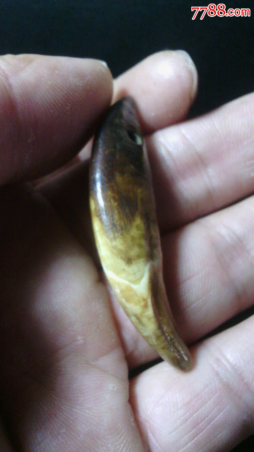 血槽老狼牙