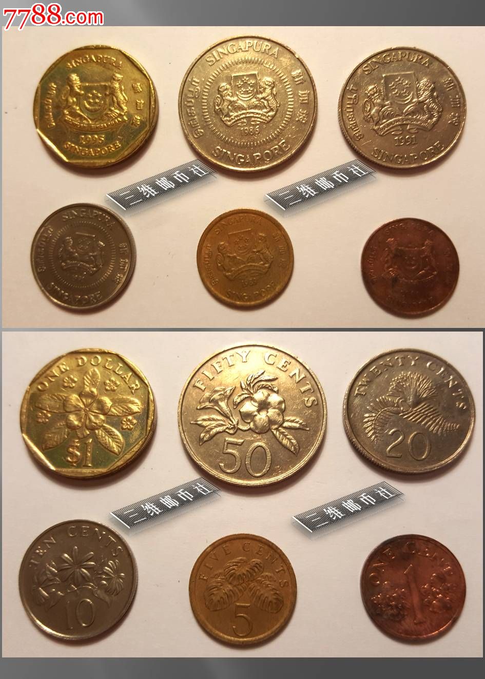 新加坡硬币种类图片