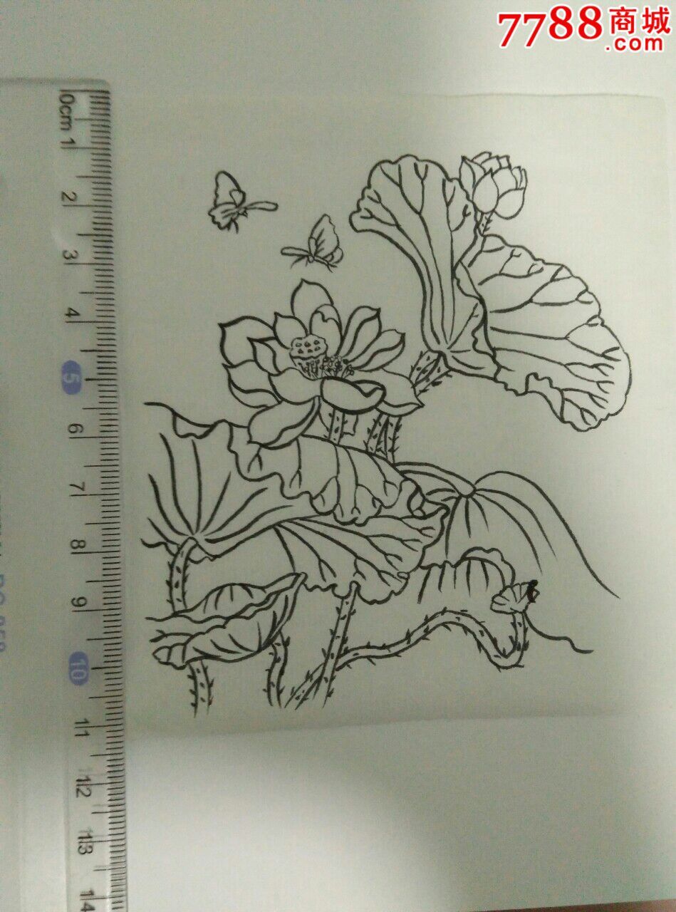 荷花_花鳥國畫原作_第1張_7788字畫網