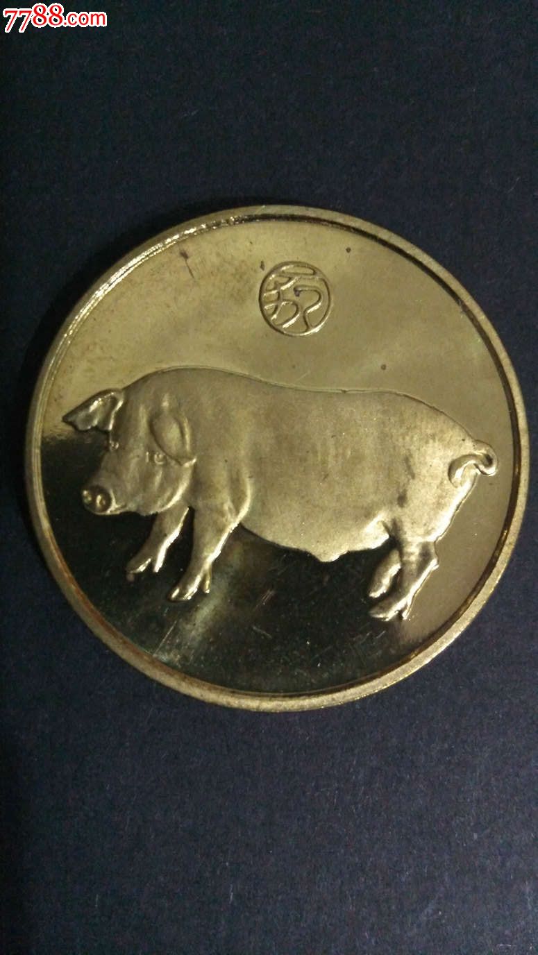 猪年纪念币1995年(上海造币厂出)-编号007