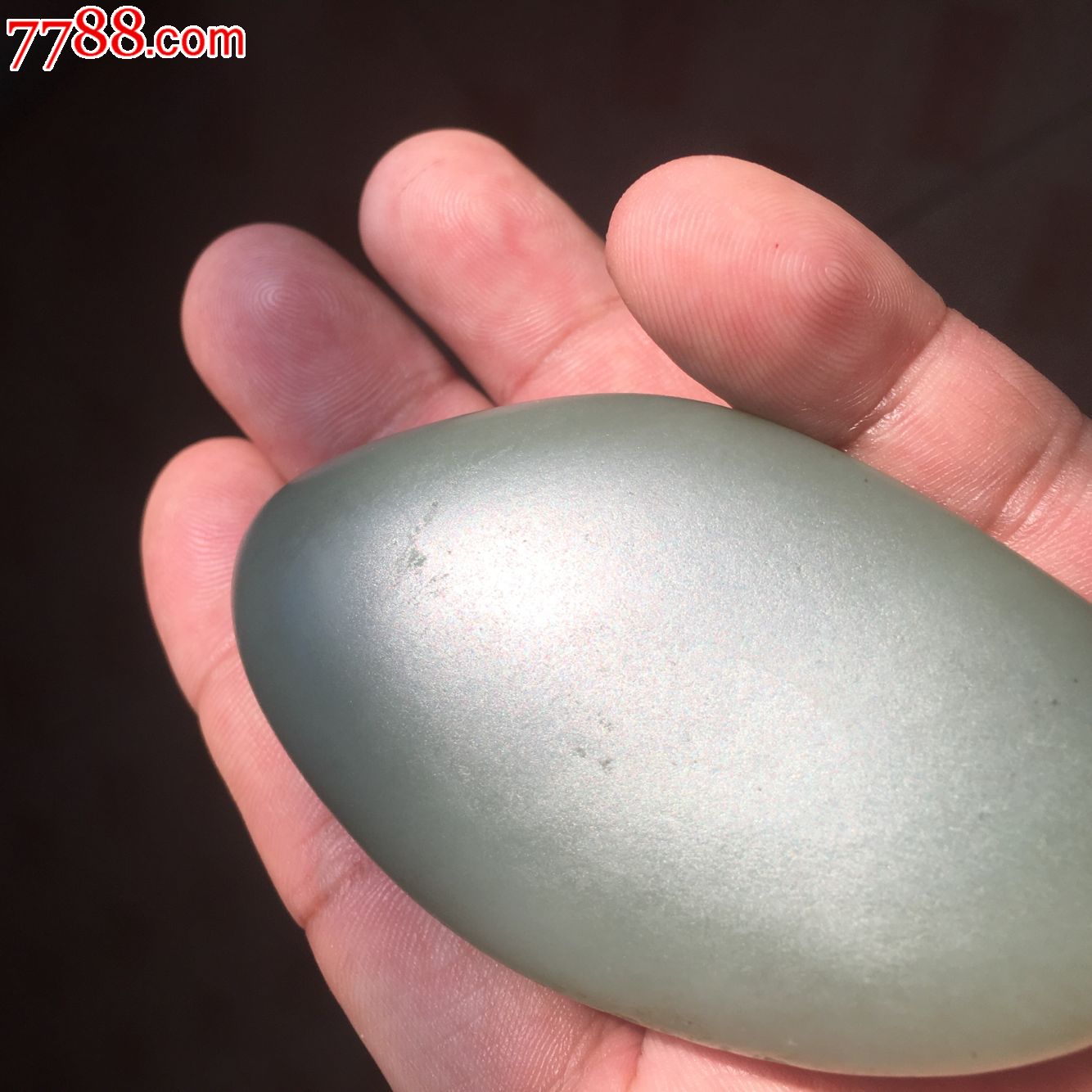 和田玉沙枣青原籽把件