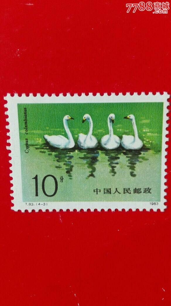 t83天鹅4-3-价格:10元-se36220859-新中国邮票-零售-7788收藏__收藏