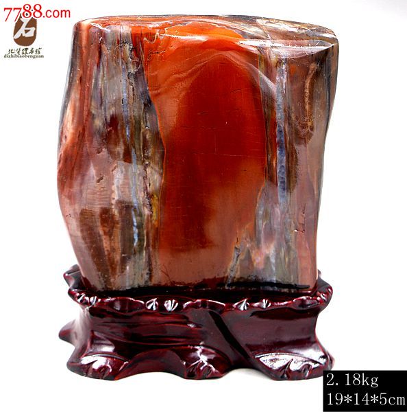 奇石新款木化石树化玉新疆硅化木树红碧玉原石头红皮木化石13