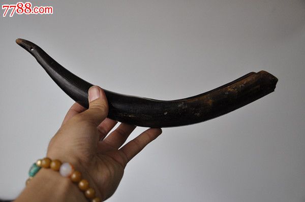 大个头牛角器具一件
