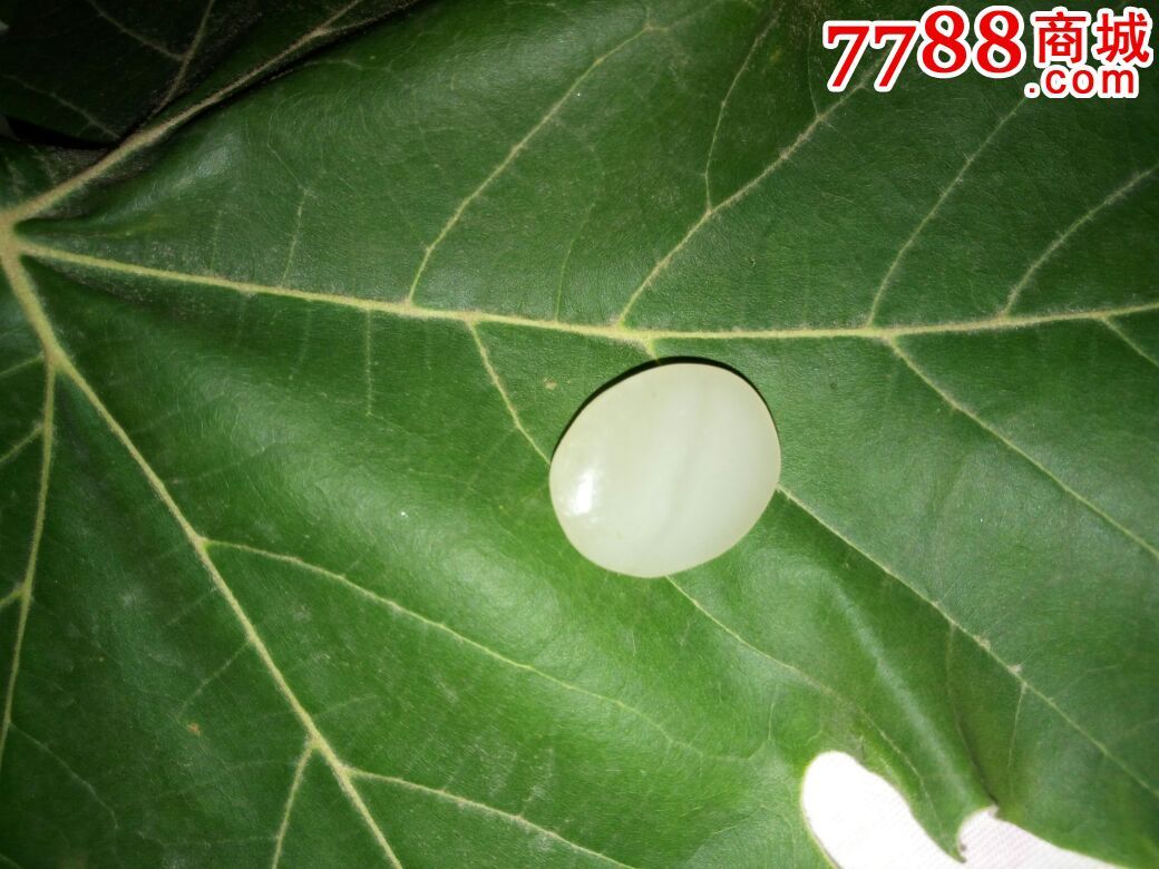 清和田羊脂玉水线明显戒面包老包和田