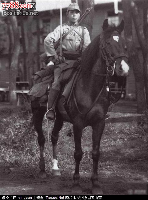 首页 零售 皮枪套/皮套 >> 关东军军马缰绳【杂项