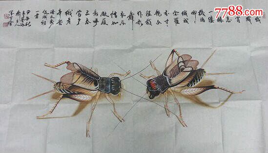 著名画家墨宇作品出售国家一级美术师墨宇周卡真迹蝈蝈供货