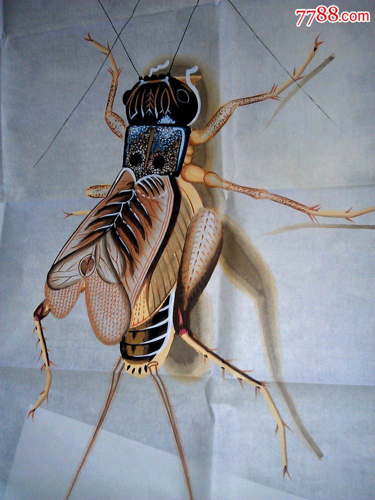 著名画家墨宇作品出售国家一级美术师墨宇(周卡)真迹蝈蝈供货