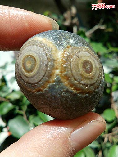 天然阿拉善紫色眼睛石原石