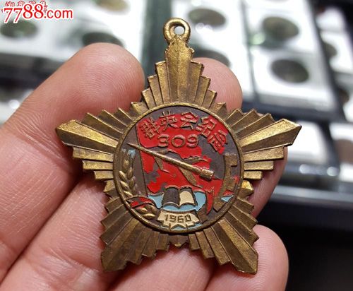 核工业部309队:群英大会纪念章