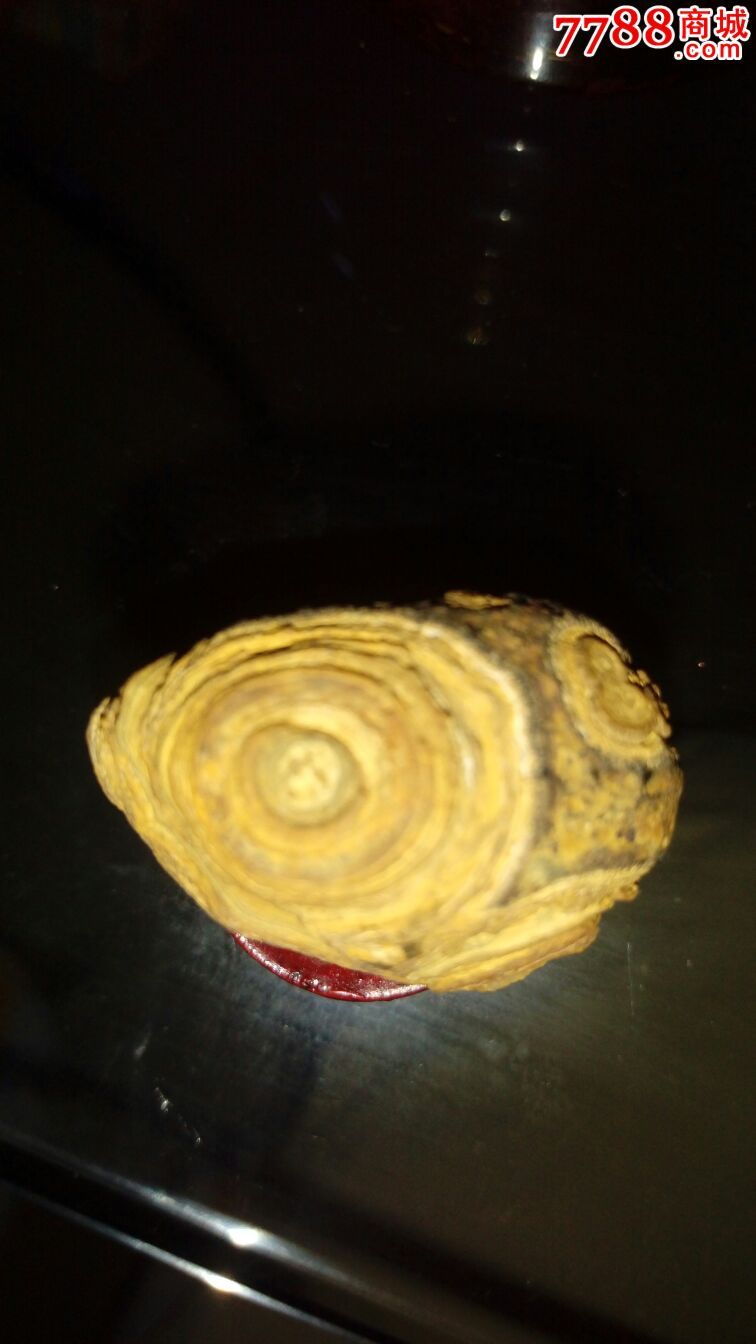 蒙天珠原石,把件