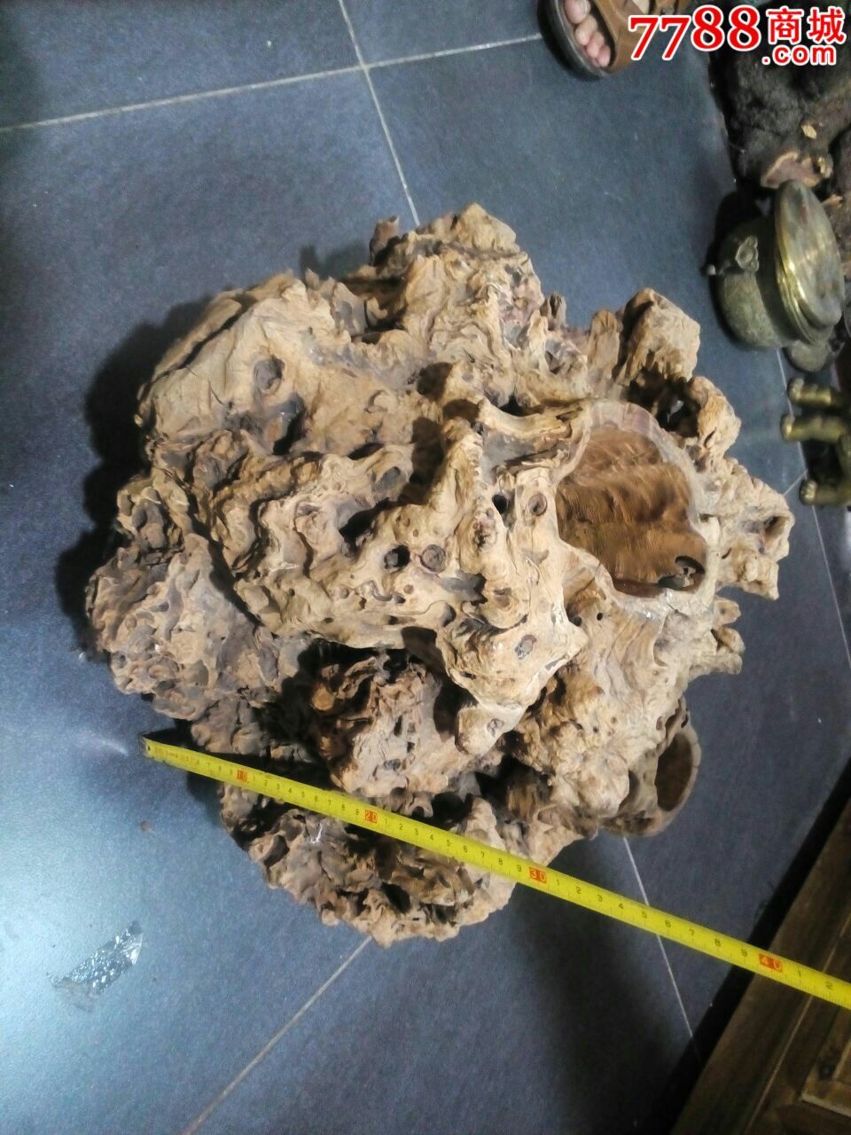 野生太行山千年桃木木根