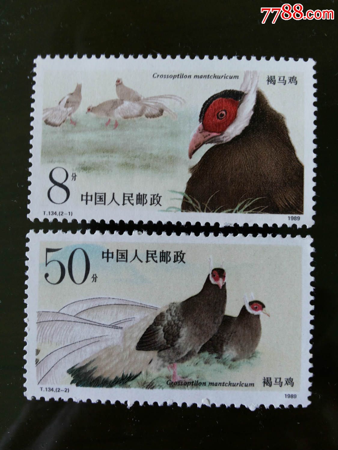 t134褐马鸡-新中国邮票-7788收藏__收藏热线