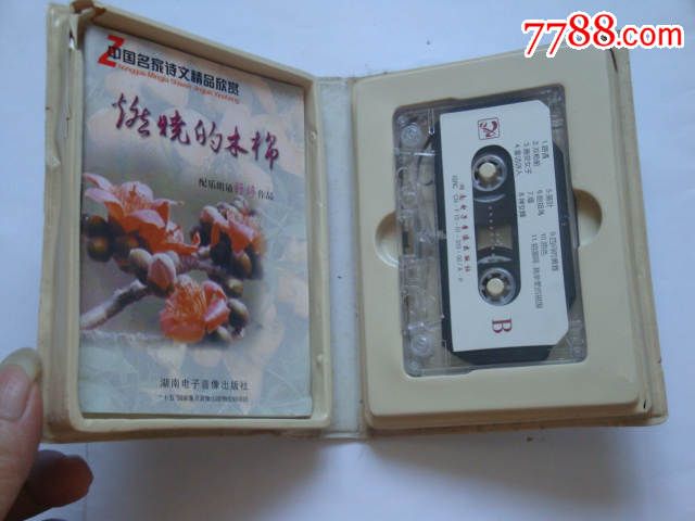 中国名家诗文精品---燃烧的木棉【舒婷作品,林