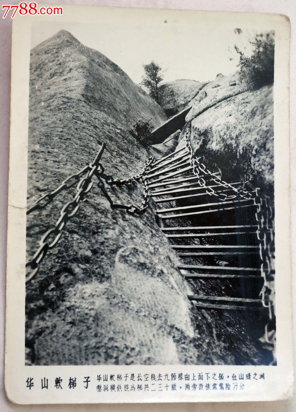 早期华山软梯子风光照,老照片_第1张_7788老照片