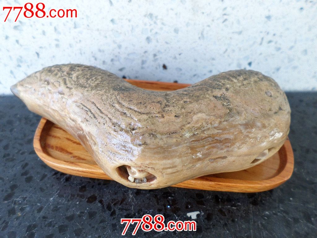 天然原皮色型沙漠戈壁奇石观赏手把玩摆设非洲沙漠戈壁玛瑙石