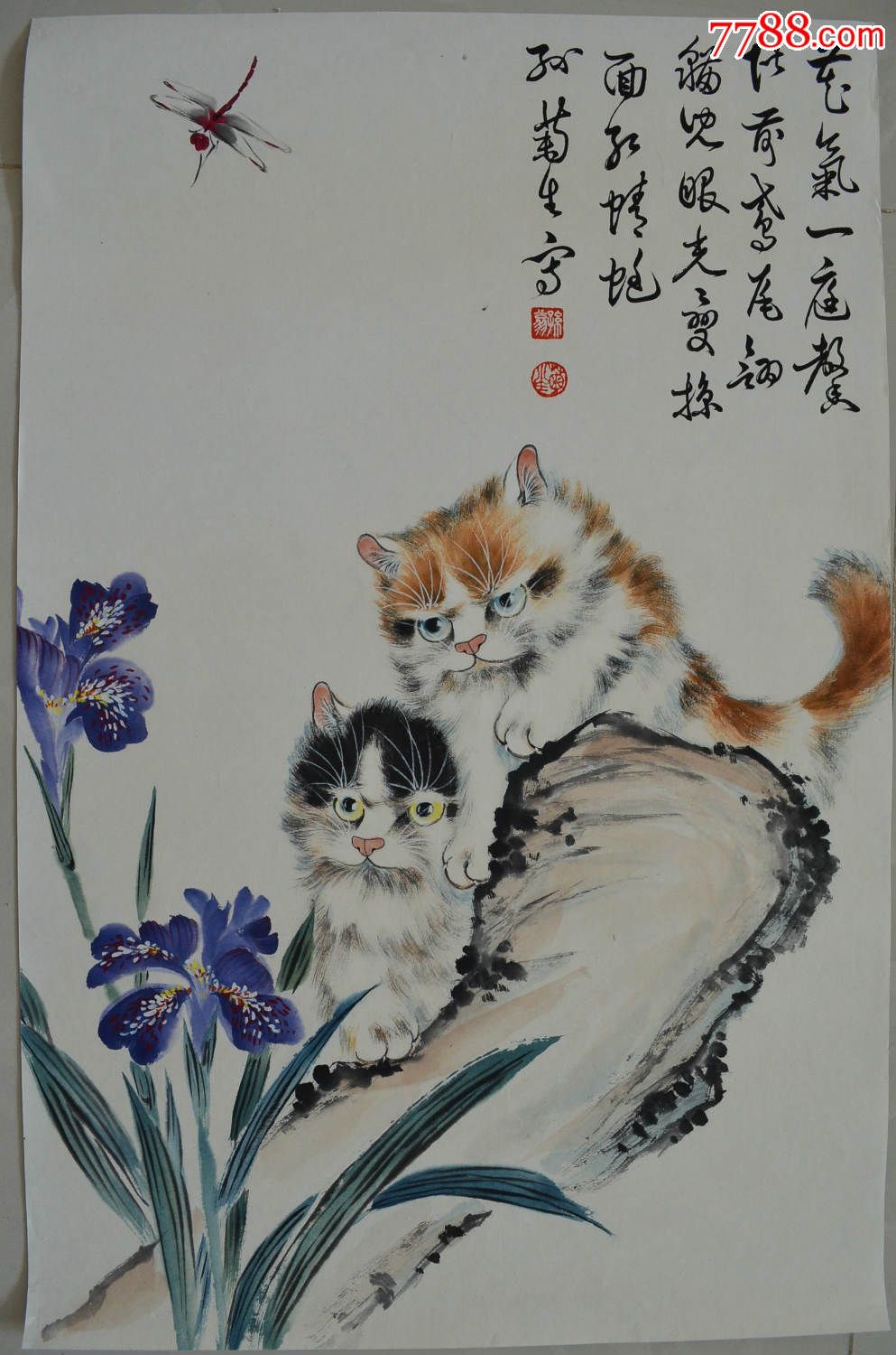 百岁长寿画家孙菊生猫