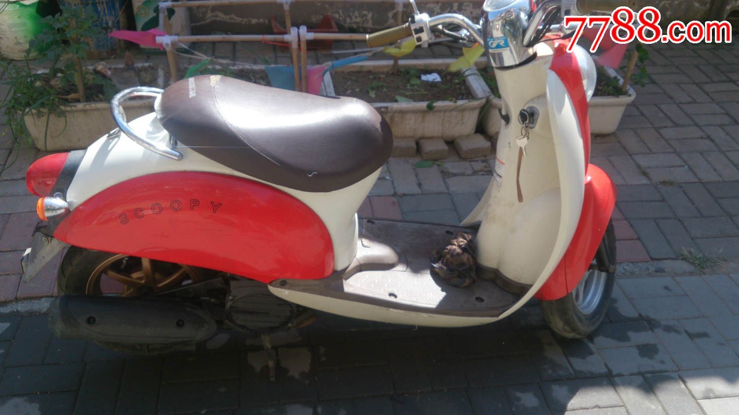 本田小龟55期摩托车限本市自提