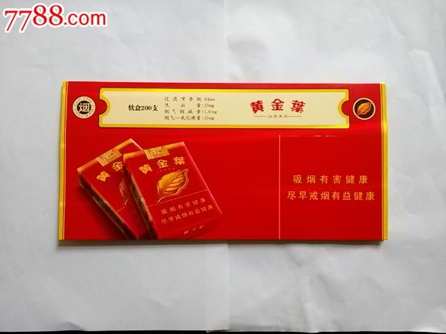黄金叶---红大金圆
