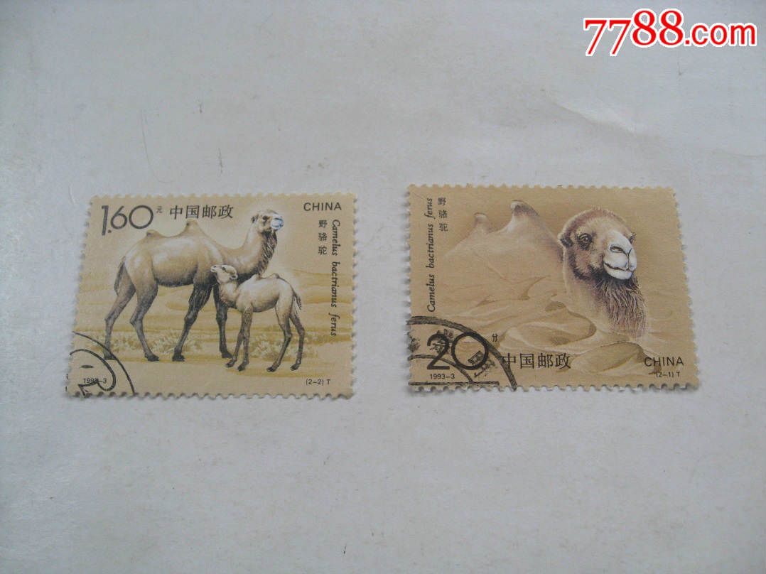 1993-3骆驼如图请自定,售后不退换,新中国邮票,编年邮票,九十年代(20