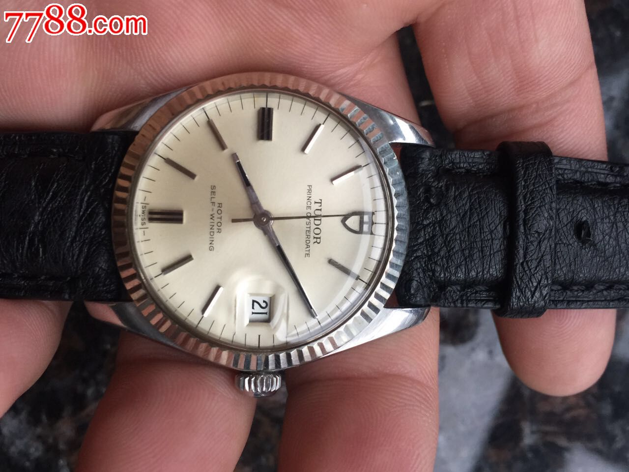 老款白金牙圈帝驼