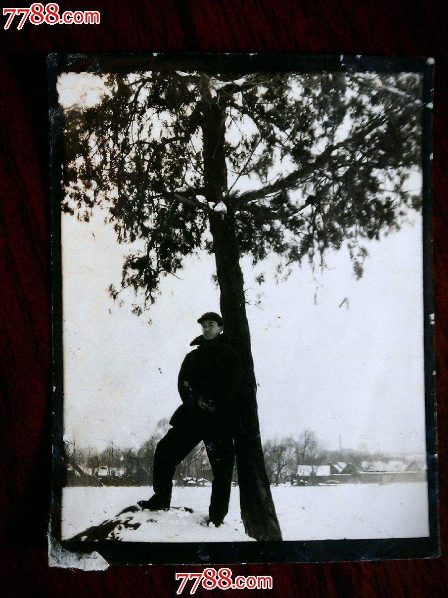 文革老照片:背靠大树脚踏实地【尺寸7.5x5.5公分】!