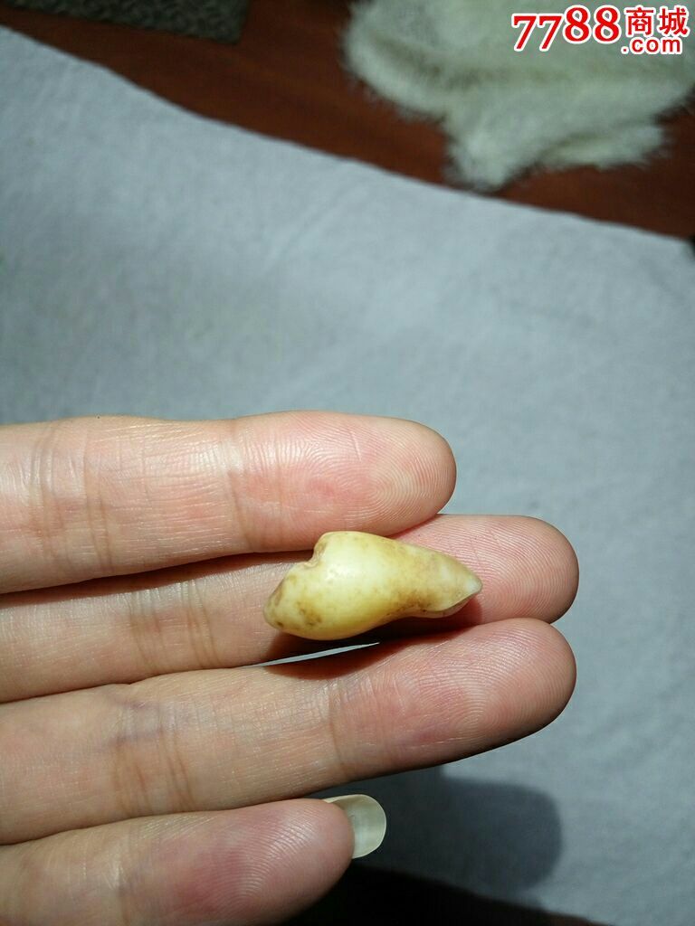 阿拉善玛瑙天然佛牙