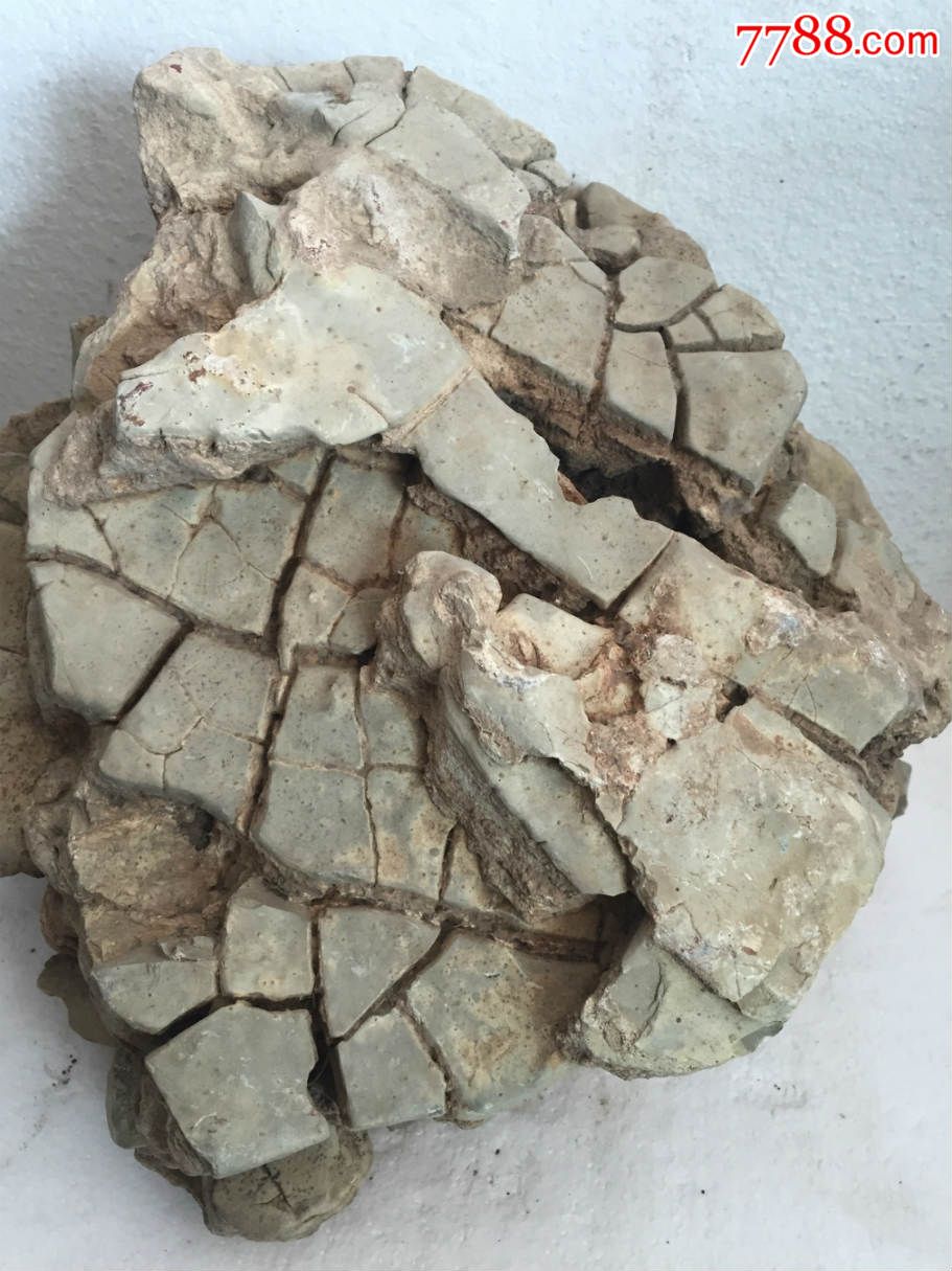 天然龟背石石山子