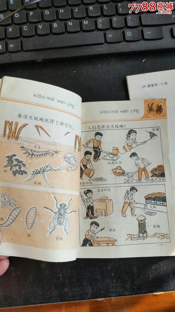 自然常识第2.5.6册试用本上海市六年制小学课本上海科教出版社90年代