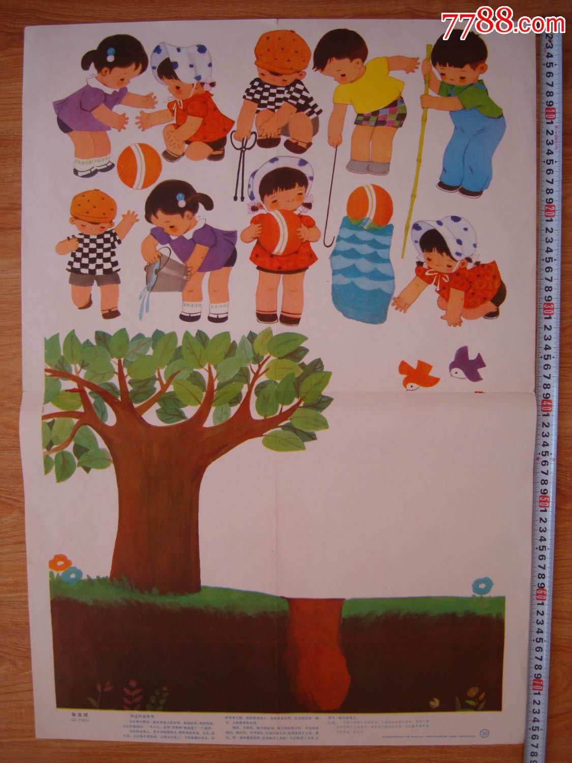 "商品>>>>￥129品99小学地理教学挂图