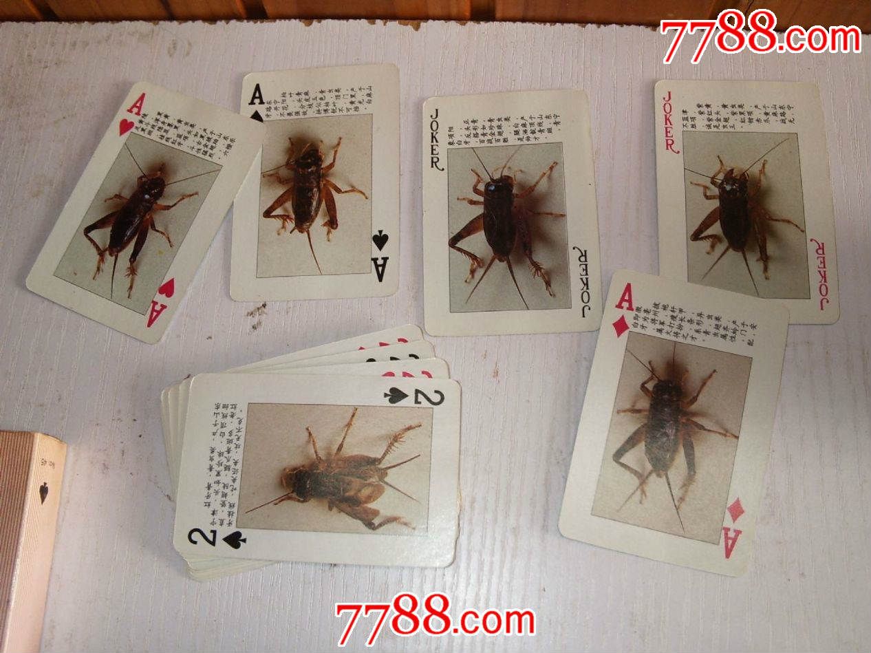 现代精品版蟋蟀荟萃高级扑克养蟋蟀必备