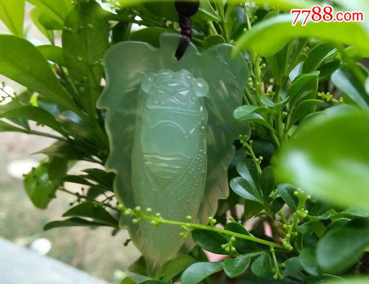 天然玉石玉器树叶知了玉蝉吊坠/岫玉a货金枝玉叶一鸣惊人玉佩挂件