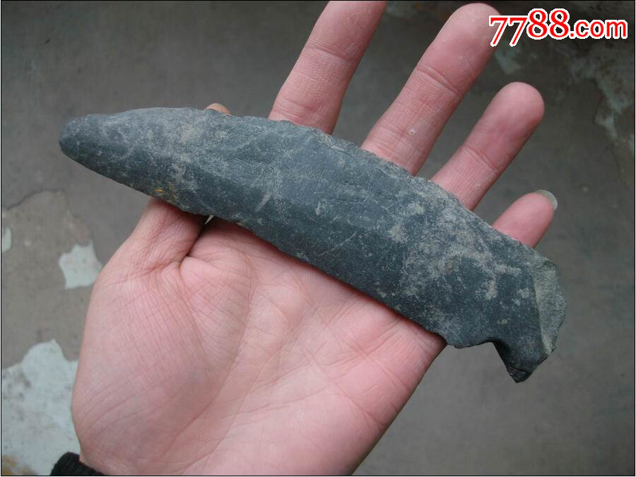 4000年前新石器时代石镰刀