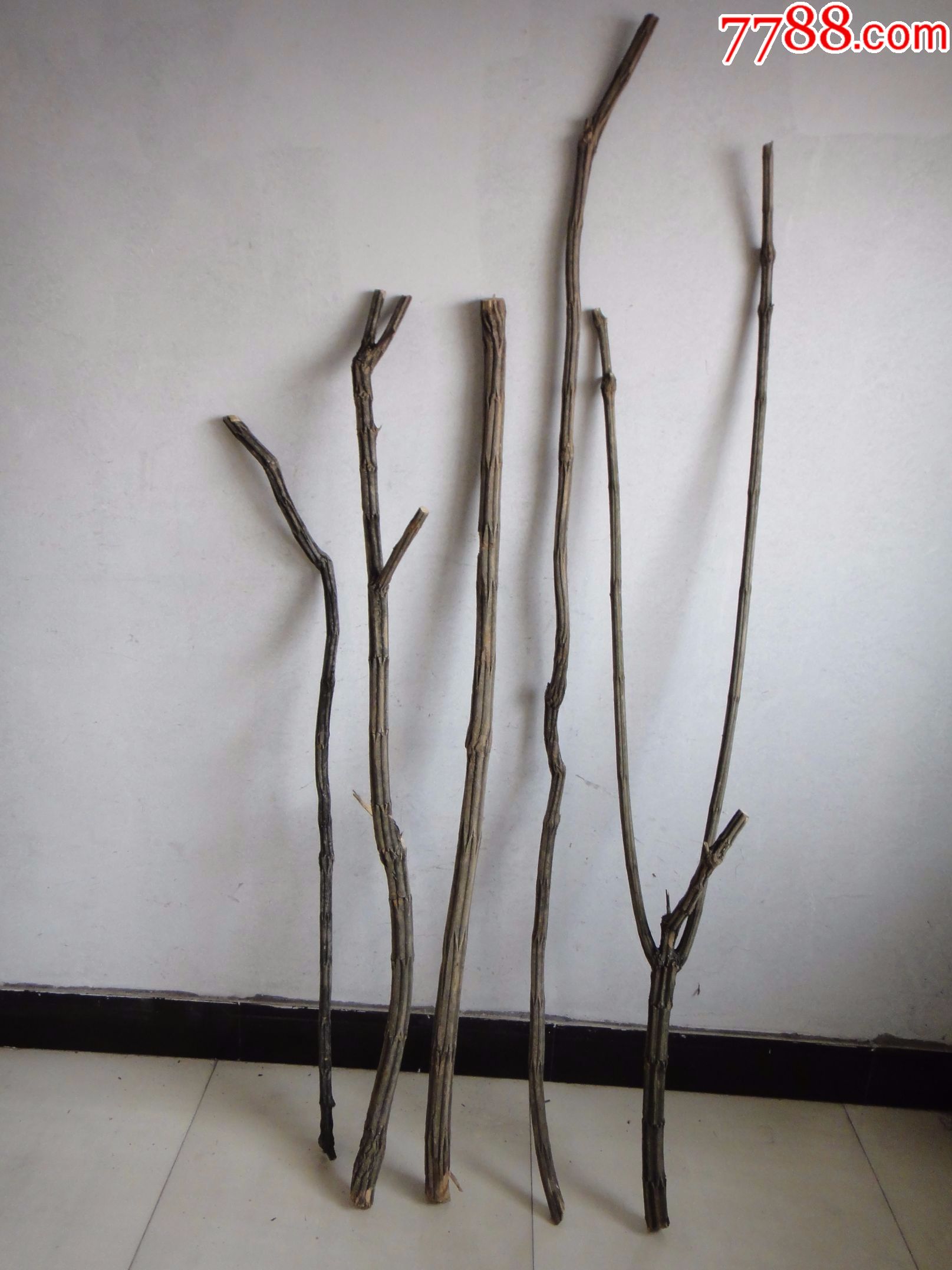最新进货太行山"降龙木"拐杖(注:没有了,朋友已定)