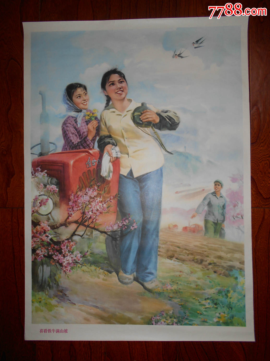 喜看铁牛满山坡===知青题材