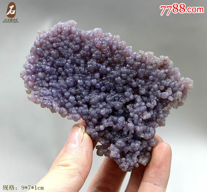 奇石头原石矿物晶体收藏级天然紫葡萄玛瑙观赏石葡萄玛瑙原石65