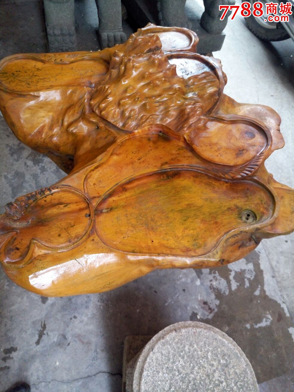 百年老杉木树头茶机茶盘