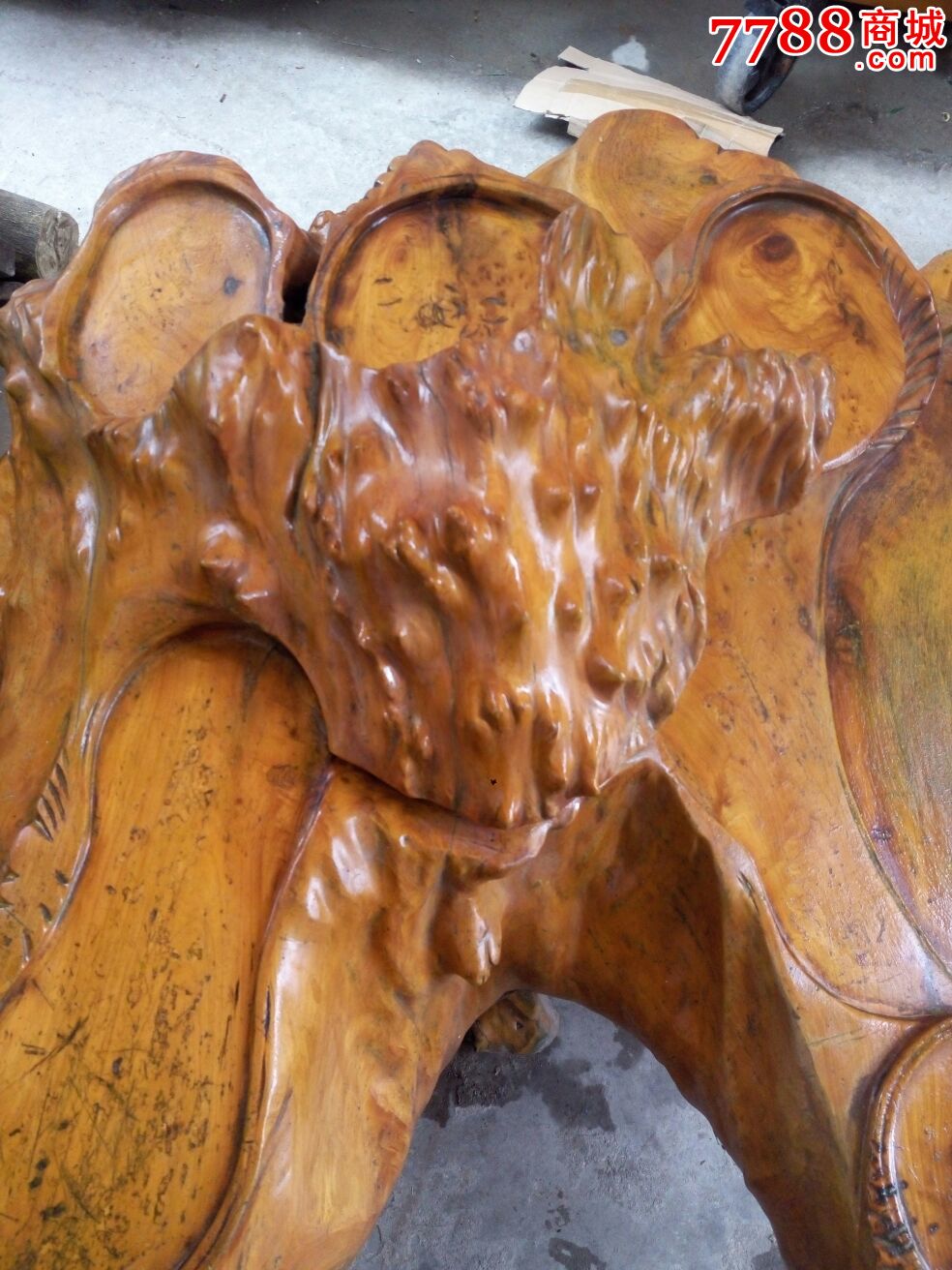 百年老杉木树头茶机茶盘