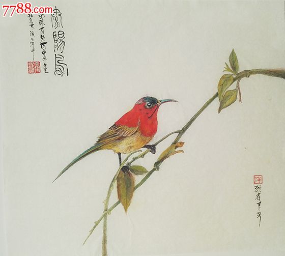 太阳鸟-独雀寻芳系列-1_价格500元【画家子墨】_第1张_7788收藏__收藏