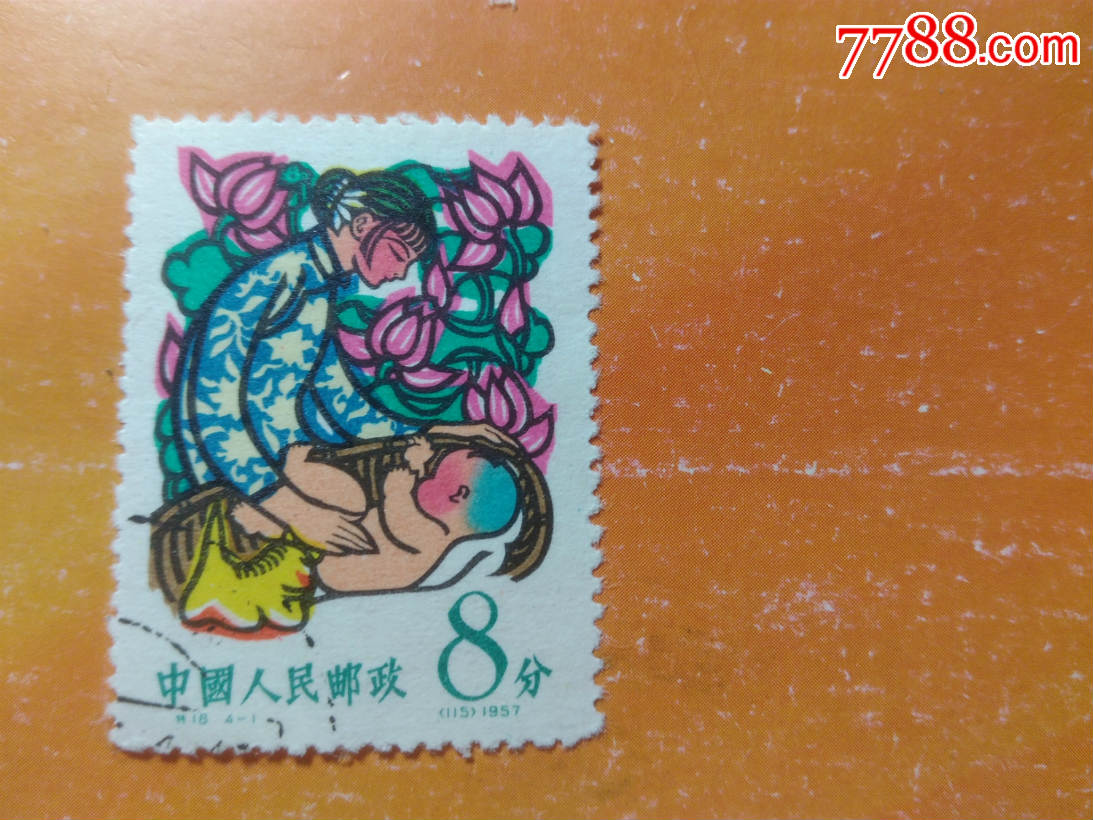 筋票