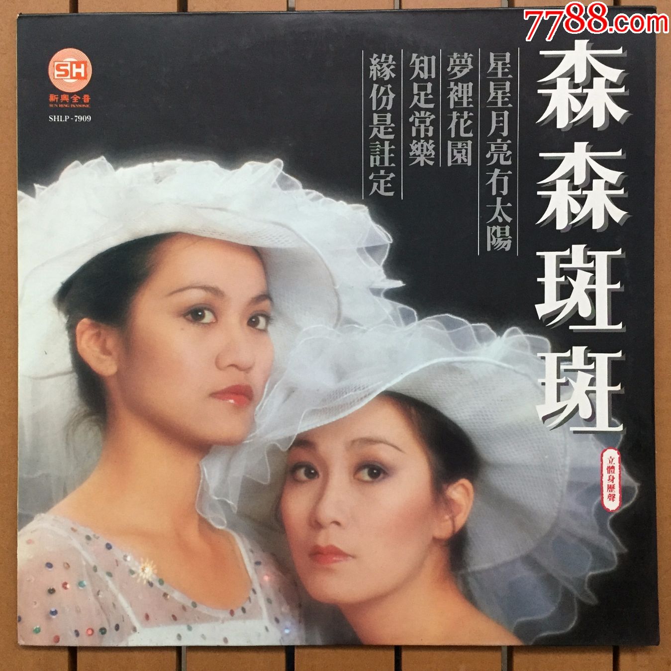 森森.斑斑星星月亮冇太阳12寸黑胶唱片lp