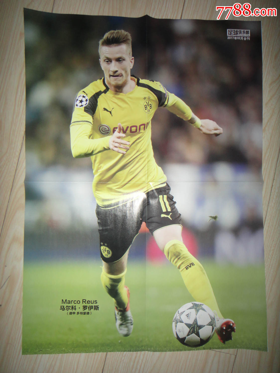 2017足球俱乐部杂志赠送单面海报-罗伊斯