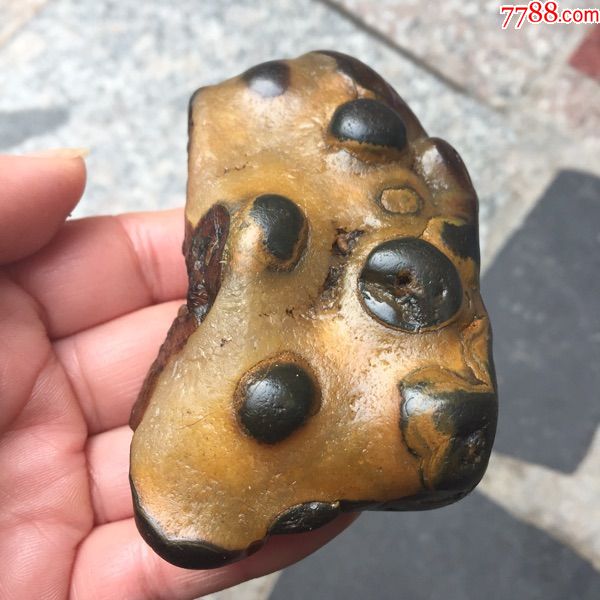 馬達(dá)加斯加瑪瑙原石_價(jià)格300元_第3張_7788收藏__收藏?zé)峋€